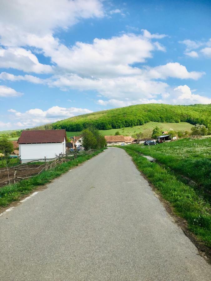 Dunesdorfer Pension Daneş Zewnętrze zdjęcie